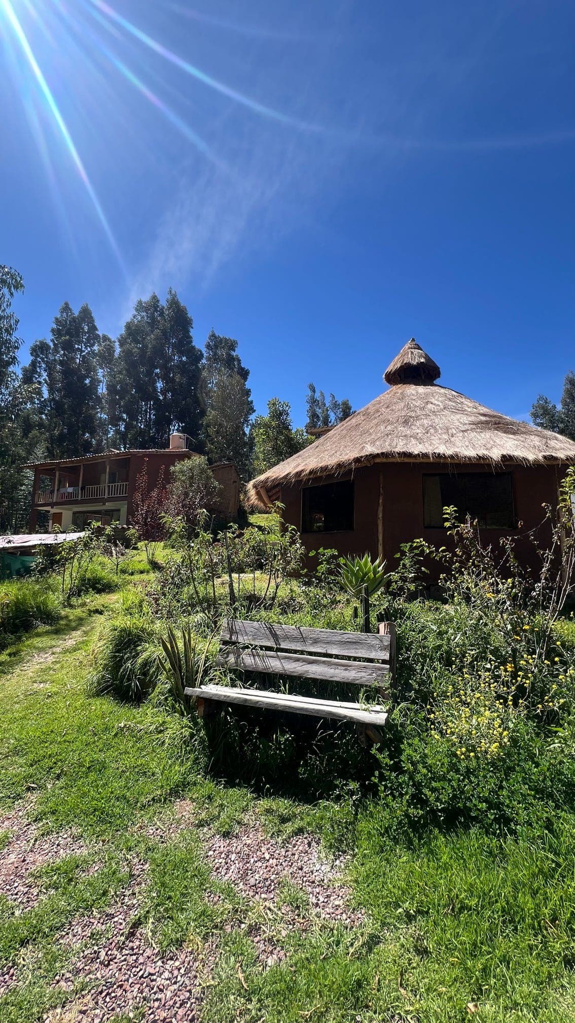 Thatched round house and adjacent building surrounded by greenery under a clear blue sky