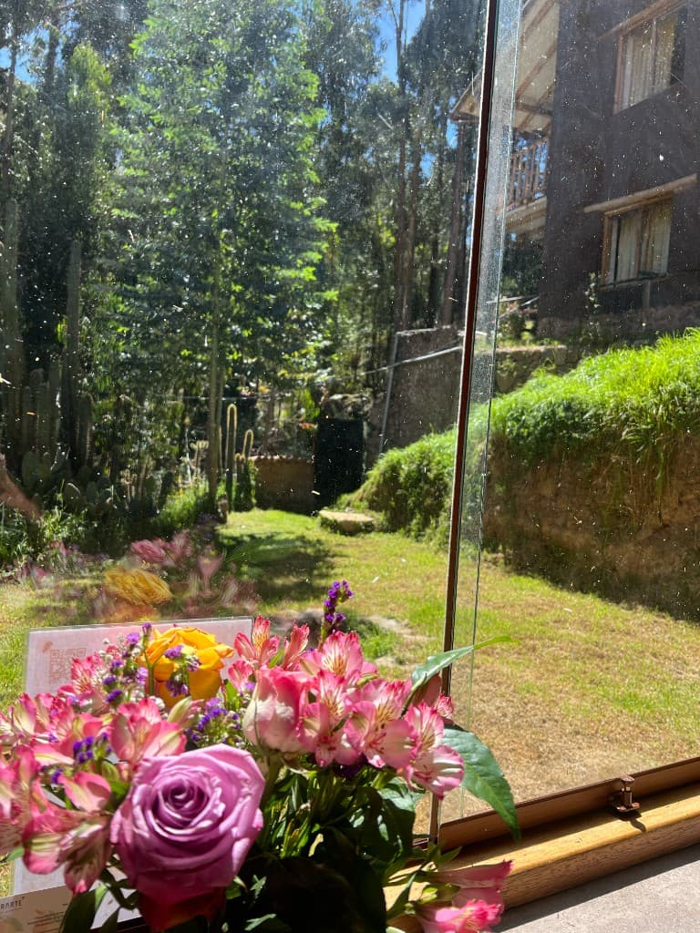 Fresh flowers on a windowsill with a view of the garden, cacti, and the house exterior