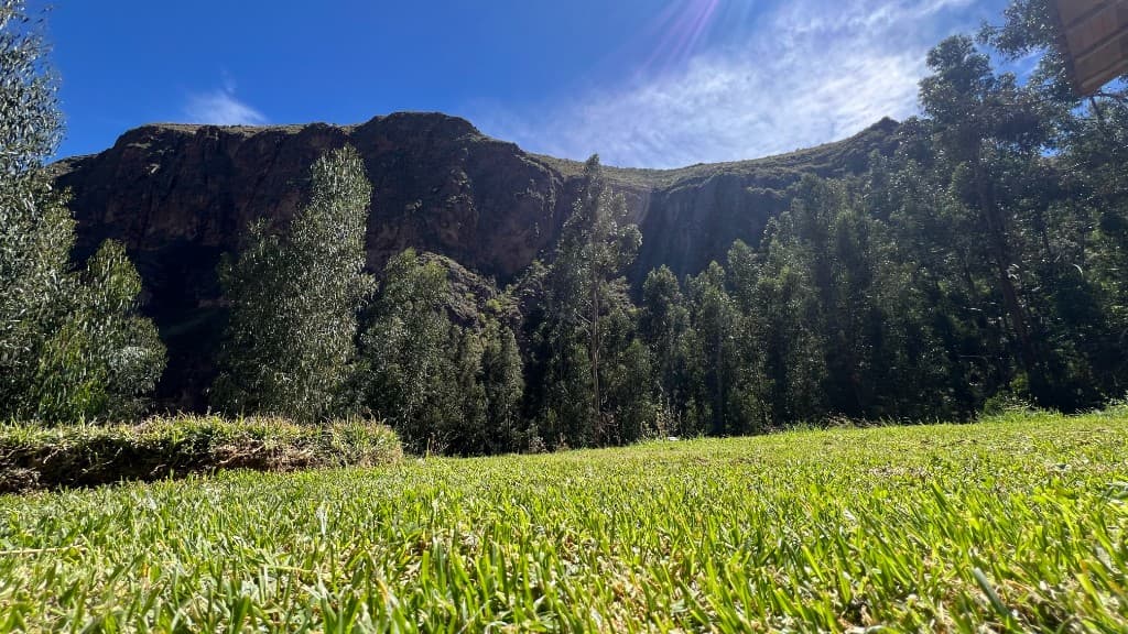 Green lawn in the Sacred Valley with tall trees and a mountain cliff under a bright blue sky